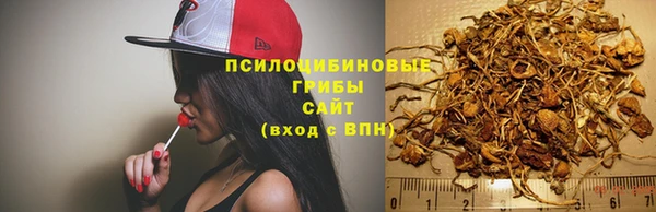 jwh Армянск