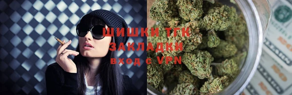 дмт Арсеньев