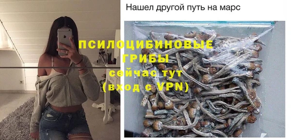 дурь Аркадак