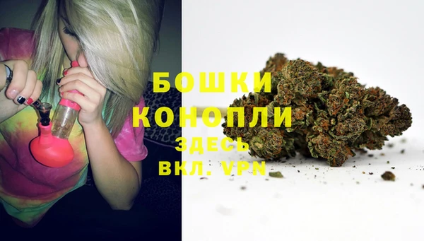 дурь Аркадак